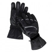 Ski Gloves (11)